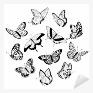 Black And White Butterfly Drawing