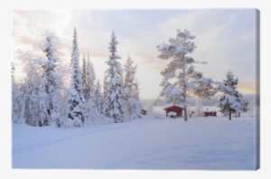 Assiette Décorative Grand Nord (coffret De 6)