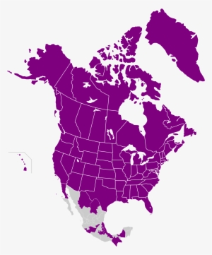 Open - United States And Canada Map Png