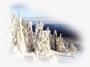 Realistic Winter Landscapes By Evgeniy Karlovich - Winter Snow Nature Real