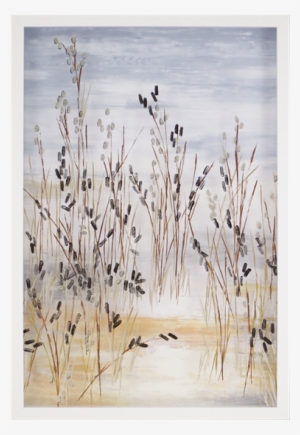 Beach Grasses - Beachgrasses Framed Art, 26"x38", White, Picture Frames,paper,