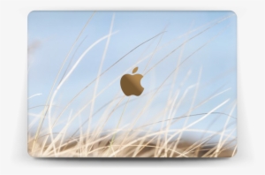 Beach Grass - Ipad 2