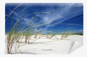 Close-up Of Beach Grass With A Bright Blue Sky As Backdrop - Sketch