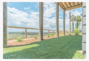 Turf Management By Priority Landscaping - Artificial Turf