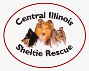 Central Illinois Sheltie Rescue