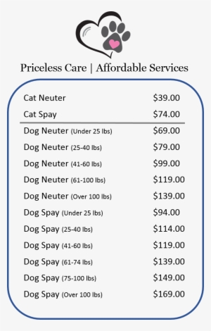 Sx Tab - E - Portable Network Graphics