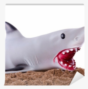An Extramarital Grey Shark On The Beach Sand With A - Beach
