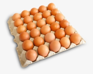 Bandeja 30 Huevos Canelos Frescos - Carton De Huevos Png