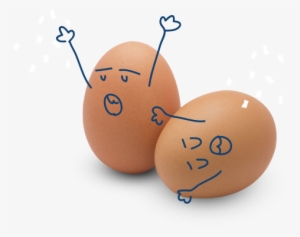 Bases Y Condiciones - Egg
