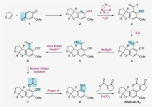 Aflatoxin Total Synthesis - Synthesis Of Aflatoxin B1
