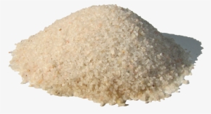 Huevos De Triops Cancriformis - Triops Cancriformis