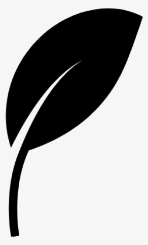 Leaf Black Shape Eco Symbol Vector - Icon