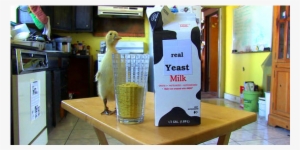 Posted By How We Got To Now Admin On Oct 10, 2014 At - Casein