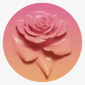 Icon Circle Rose Pink Fade Gradient Orange Flower - Baddie