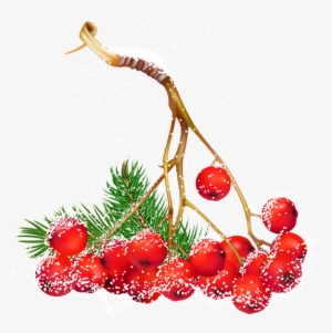 0, - Berries Clipart Transparent