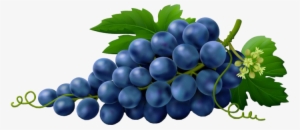 #red Velvet #red Velvet Red Summer #red Velvet Red - Red Velvet Red Summer Fruit