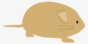 Free Download Rat Clipart Whiskers Clip Art - Reptile