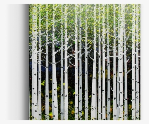 Summer Aspen Trees Box Art Xi Aspens Old Wood Signs - Aspen