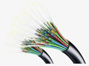 Leased Circuit Network Business Model