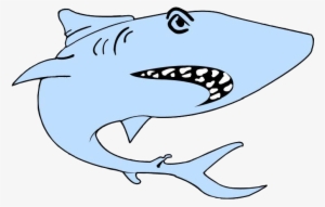 Workout Schedule - Great White Shark