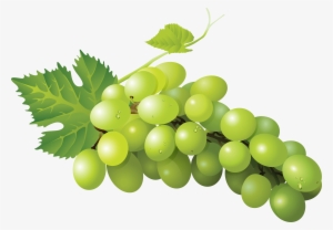 Grapetransparent