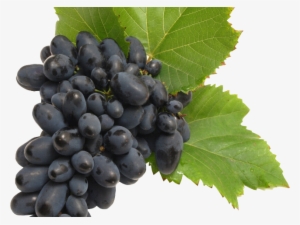 Share - Transparent Background Grape Png
