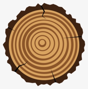 699 Graphic Illustration - Clip Art Wood Svg