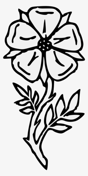 Details, Png - Rose