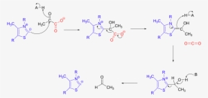 Pyruvate Dc - Wikimedia Commons