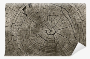 Kaşmir Moda Premium 611-14- Halı - 100 X 200 Cm