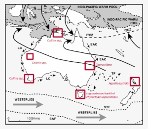 Location Of Australasian Tree-ring Sites Discussed - Leeuwin Current