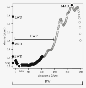 Tree Ring's Density Values Calculated From A Microdensity - Density