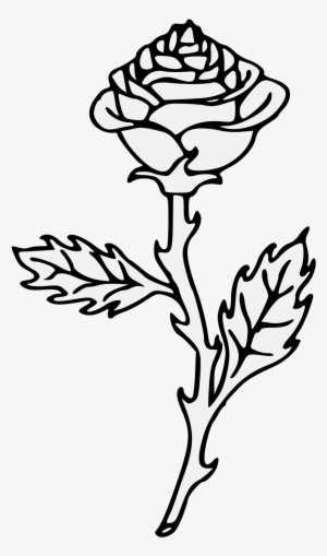 Details, Png