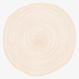 Katie Paterson, Future Library - Circle