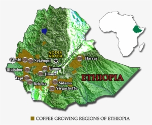 While Metad Can, Upon Request, Source And Deliver Specific - Coffee Growing Regions In Ethiopia