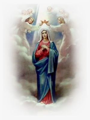 Feast Of The Purity Of The Blessed Virgin Mary T His - Assumption Of Mary 2018