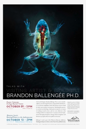 0 Replies 3 Retweets 3 Likes - Brandon Ballengée