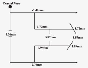 Pitchfork Changes In The Mandibular Protraction Appliance - Diagram
