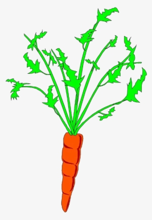 Carrots Png Stem Clip Art - Carrot Animation