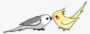 Cute Cartoon Cockatiels By Water - Cute Cockatiel Drawing