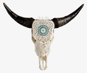 Cráneo De Toro Pintado
