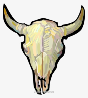 Bull Skull - Cranio De Boi Png