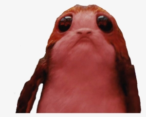 Lien Direct, 2017/41/2/1507657552 1507652701 Porg F5e77ddb - Insect