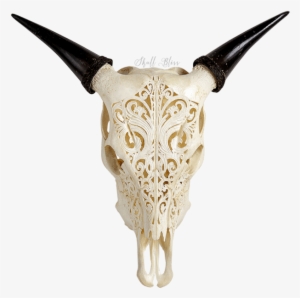 Carved Cow Skull - Skull