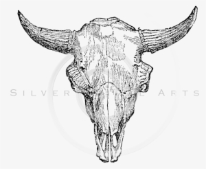 Buffalo Skull Drawing At Getdrawings - Buffalo Skull Illustration Png