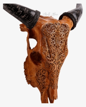 Carved Cow Skull - Cattle