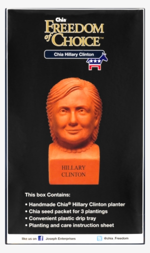 Hillary Clinton Png