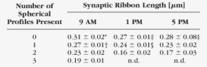 Synaptic Ribbon Profile Length In Individual Rod Terminals - Federation Of American Hospitals