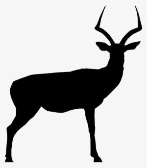 50s Clipart Impala 3 Deer Skull Drawing Deer Rack Silhouette - Impala Vector