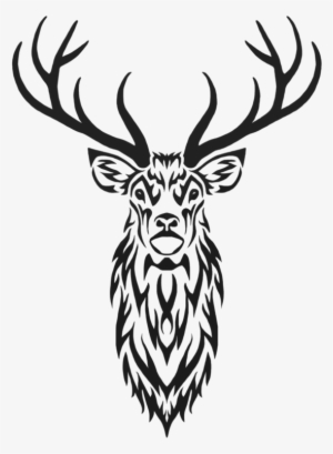 Stag Drawing At Getdrawings - Stag Tribal